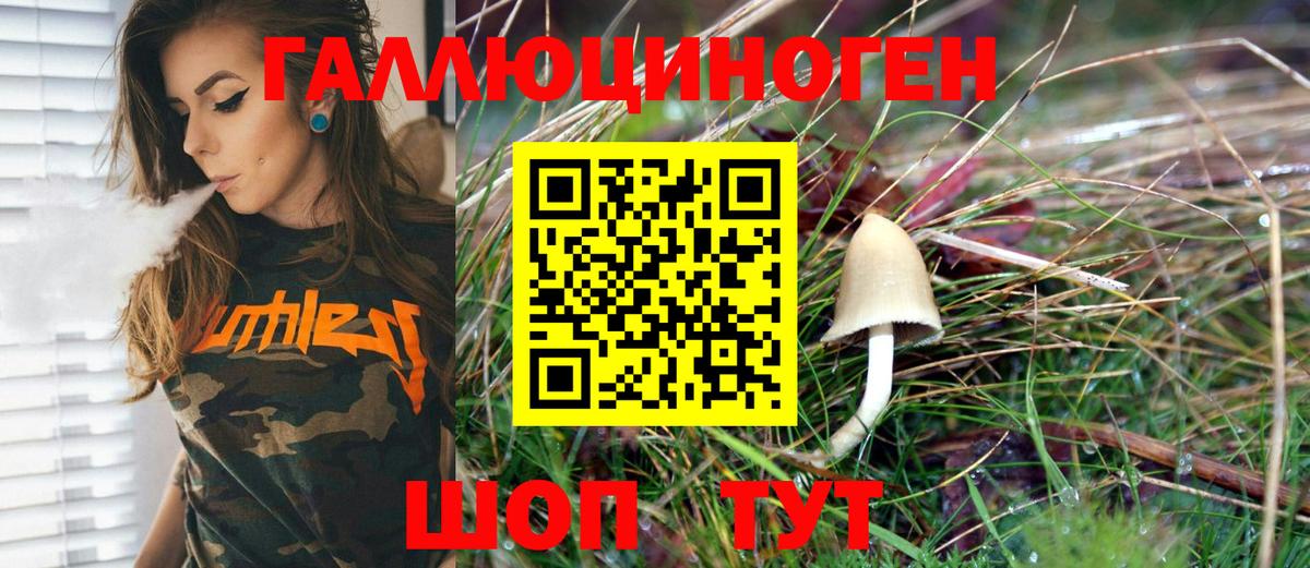 Галлюциногенные грибы Psilocybine cubensis  как найти   Вход с VPN  Сорочинск  Галлюциногенные грибы GOLDEN TEACHER 